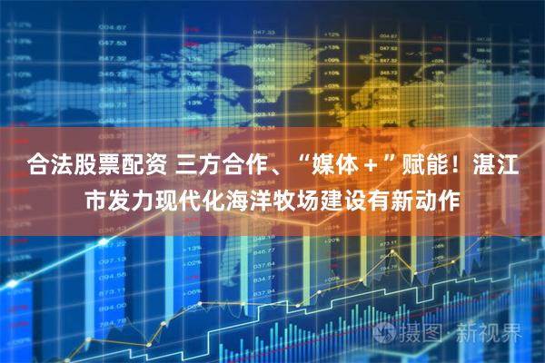 合法股票配资 三方合作、“媒体＋”赋能！湛江市发力现代化海洋牧场建设有新动作
