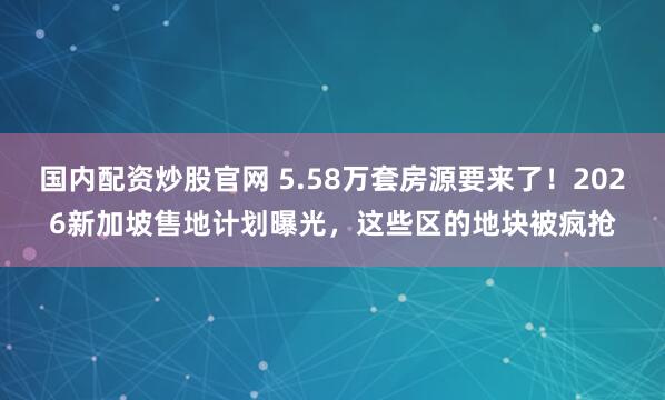 国内配资炒股官网 5.58万套房源要来了!2026新加坡售地计划曝光,这些区的地块被疯抢